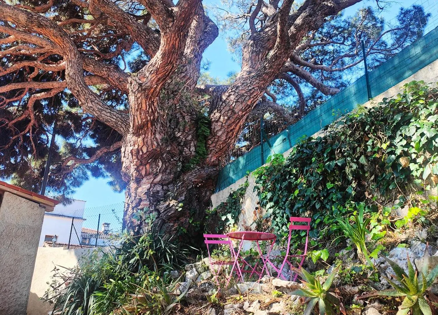 Studio La Mimosette Cannes