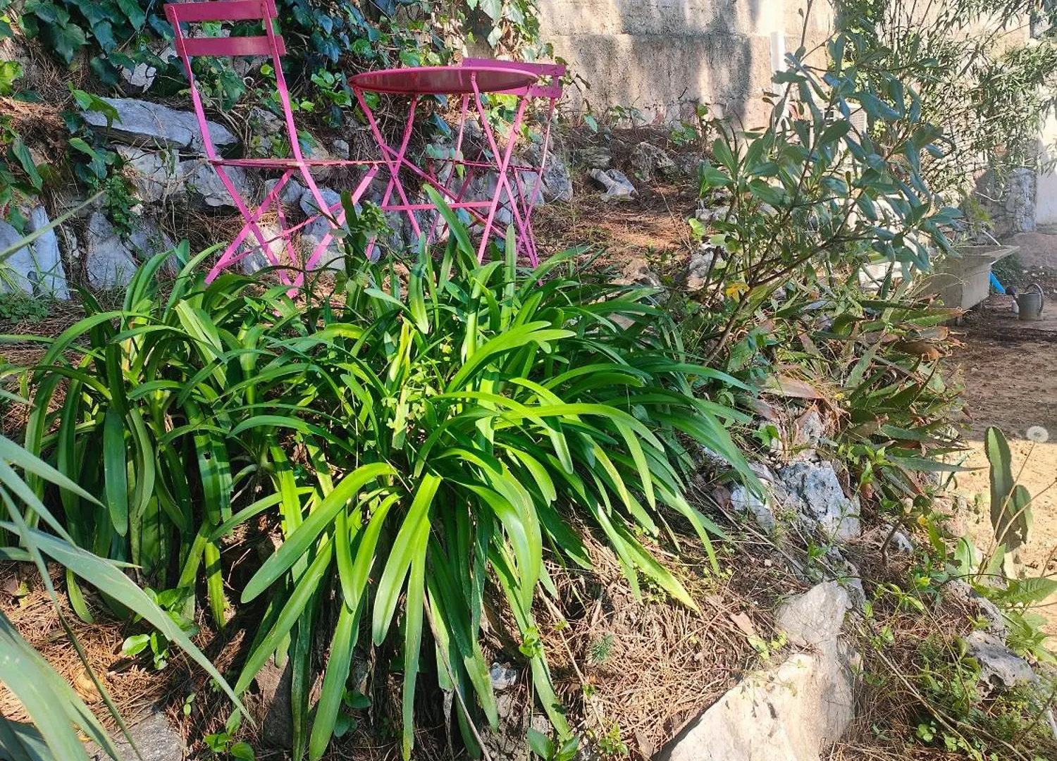 Appartement Studio La Mimosette Cannes France